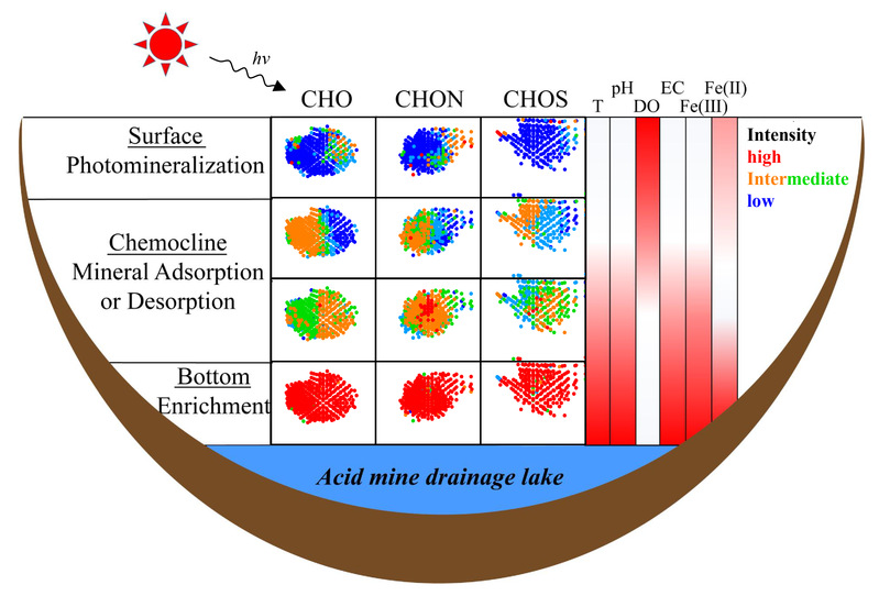 taptap点点在酸性矿山废水中溶解性有机质研究方面取得新进展