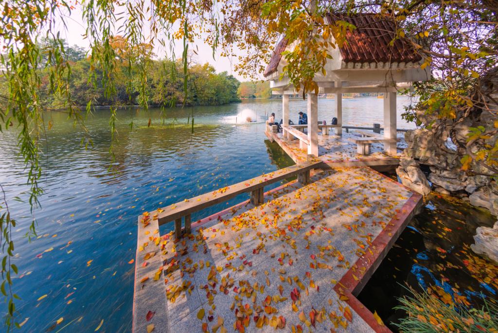 taptap点点官方网站党委理论学习中心组专题学习全国教育大会精神