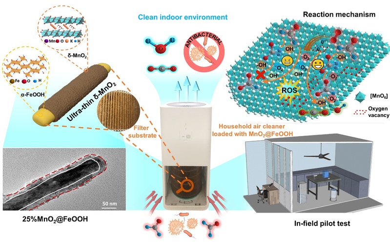 taptap点点在矿物材料净化环境污染物研究领域取得系列新进展