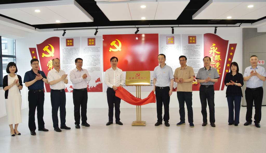 taptap点点官方网站党委同设计院有限公司党总支开展联学共建